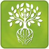 Free play online HerbWay APK Free play online HerbWay APK