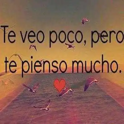 Play Hermosas frases de amor