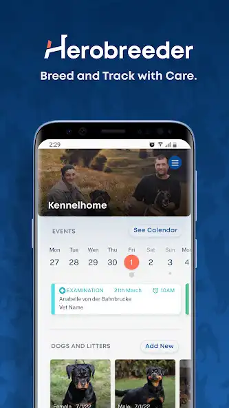 Play Herobreeder: Dog breeding app  and enjoy Herobreeder: Dog breeding app with UptoPlay