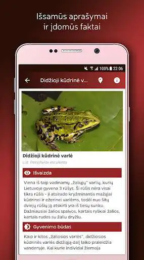 Play Herpetologas as an online game Herpetologas with UptoPlay