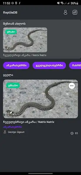 Play Herpi - Reptiles in Georgia  and enjoy Herpi - Reptiles in Georgia with UptoPlay