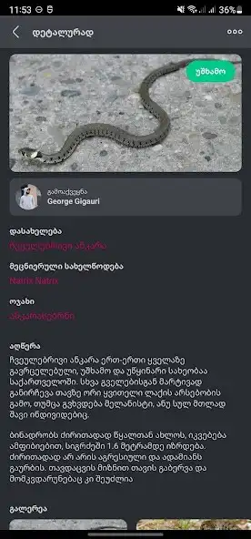 Play Herpi - Reptiles in Georgia as an online game Herpi - Reptiles in Georgia with UptoPlay