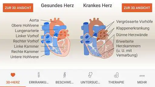 Play Herzstark in 3D CH as an online game Herzstark in 3D CH with UptoPlay