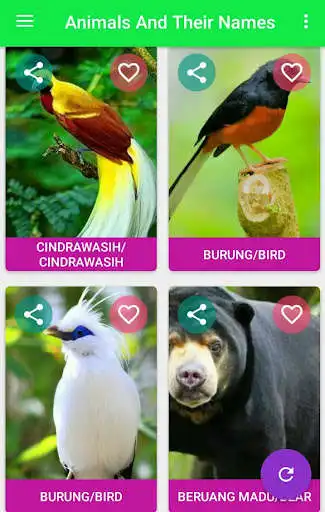 Play Hewan Dan Nama-namanya as an online game online Hewan Dan Nama-namanya with UptoPlay com.artisangame.animals Play Hewan Dan Nama-namanya as an online game Hewan Dan Nama-namanya with UptoPlay