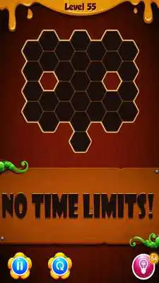 Play Hexa Block Puzzle