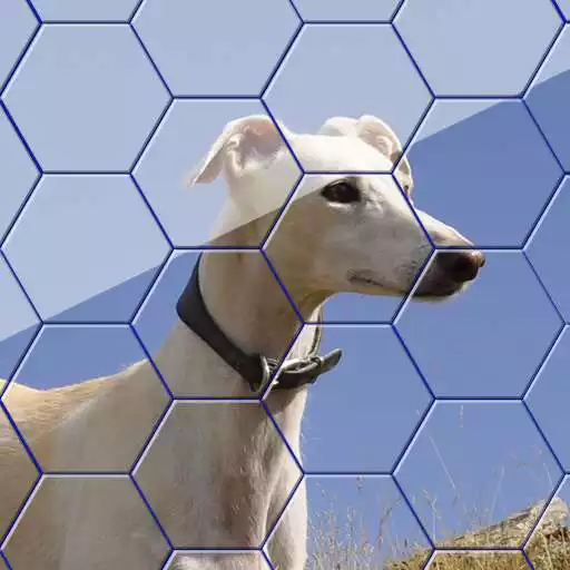 Play Hexa Jigsaw - Dogs jigsaw puzzle game APK