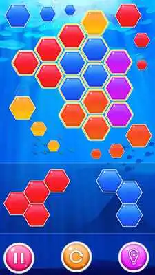 Play Hexa Puzzle Maker