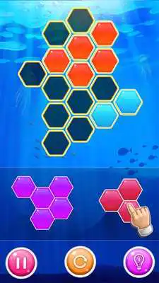 Play Hexa Puzzle Maker