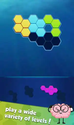 Play Hexa Puzzle: Triangle Block as an online game Hexa Puzzle: Triangle Block with UptoPlay