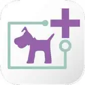 Free play online Heyrex APK