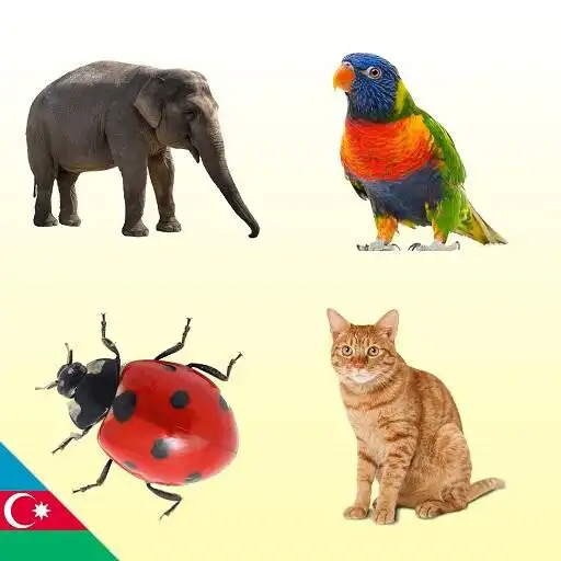 Play Heyvanlar Alemi - Heyvan sesleri APK Play Heyvanlar Alemi - Heyvan sesleri APK