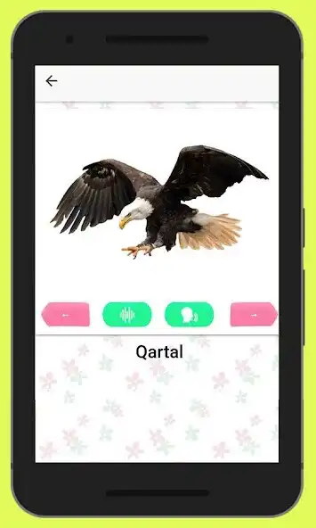 Play Heyvanlar Alemi - Heyvan sesleri  and enjoy Heyvanlar Alemi - Heyvan sesleri with UptoPlay