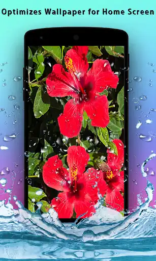 Play Hibiscus 3D Live Wallpaper as an online game Hibiscus 3D Live Wallpaper with UptoPlay