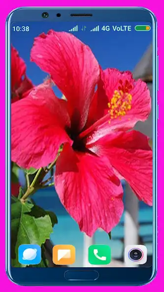 Play Hibiscus Flower HD Wallpaper  and enjoy Hibiscus Flower HD Wallpaper with UptoPlay