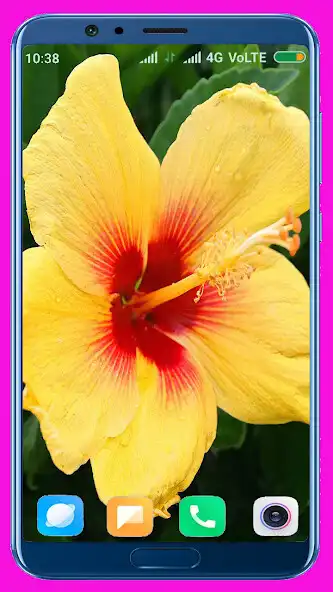 Play Hibiscus Flower HD Wallpaper as an online game Hibiscus Flower HD Wallpaper with UptoPlay