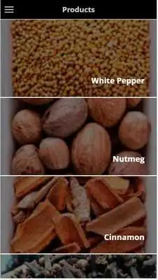 Play Hidayah Putra Maros