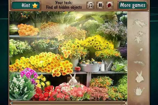 Play Hidden Evidences Free