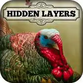 Free play online Hidden Layers: Turkey Trot APK Free play online Hidden Layers: Turkey Trot APK
