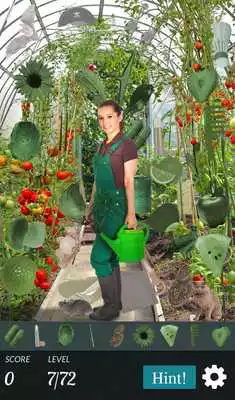 Play Hidden Object - Farm Adventure