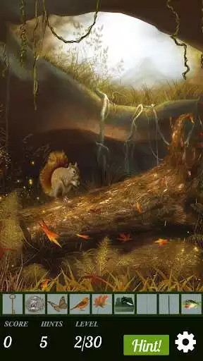 Play APK Hidden Object: Forest Friends Adventure  and enjoy Hidden Object: Forest Friends Adventure with UptoPlay air.com.dg.differencegames.hiddenobject.forestfriends