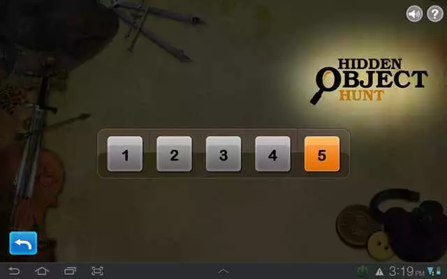 Play Hidden Object Hunt