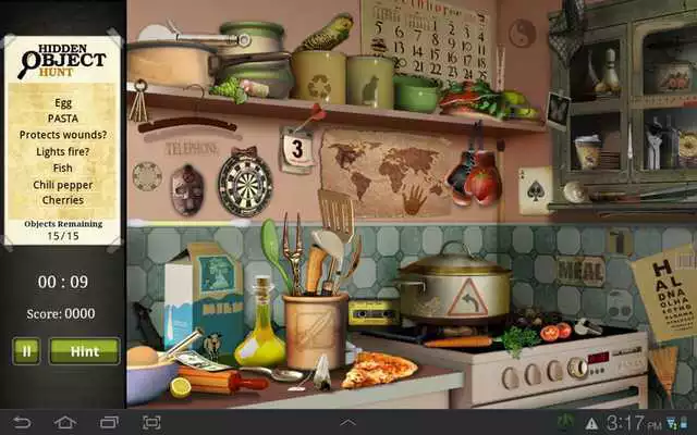 Play Hidden Object Hunt
