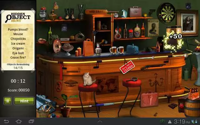 Play Hidden Object Hunt