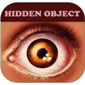 Free play online Hidden object mystery for kids APK