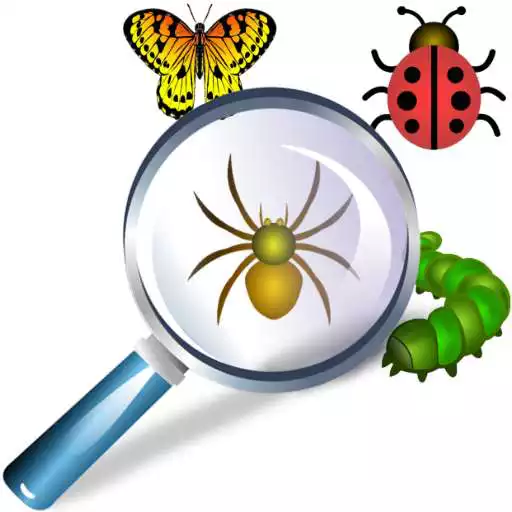 Free play online Hidden Object Puzzle Find hiding bugs, spiders etc APK