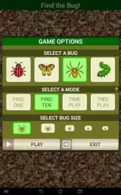 Play Hidden Object Puzzle Find hiding bugs, spiders etc