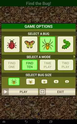 Play Hidden Object Puzzle Find hiding bugs, spiders etc
