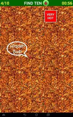 Play Hidden Object Puzzle Find hiding bugs, spiders etc