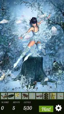 Play Hidden Object Search - Frost Fairies
