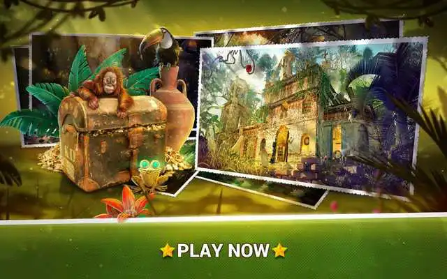 Play Hidden Objects Jungle Mystery