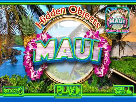 Play Hidden Objects Maui Vacation