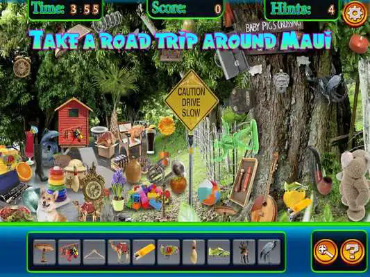 Play Hidden Objects Maui Vacation