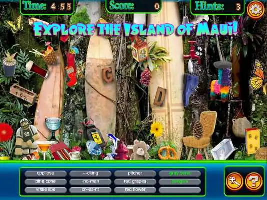 Play Hidden Objects Maui Vacation