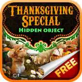 Free play online Hidden Object Thanksgiving APK