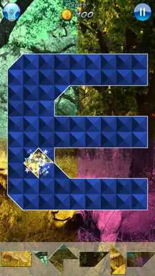 Play Hidden Pieces: Into The Wild