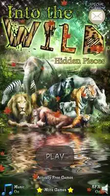 Play Hidden Pieces: Into The Wild
