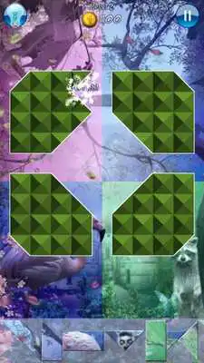 Play Hidden Pieces: Into The Wild