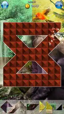 Play Hidden Pieces: Into The Wild