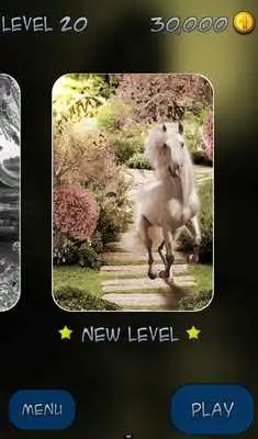 Play Hidden Pieces: Majestic Mares Play Hidden Pieces: Majestic Mares