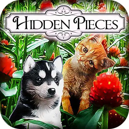 Free play online Hidden Pieces - Spring Babies APK