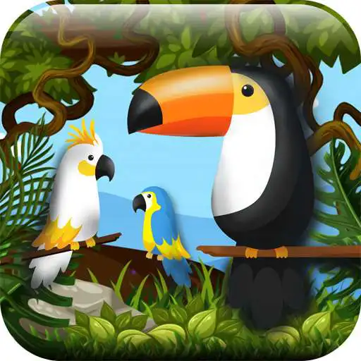 Play Hidden Pigeon Game Find Birds APK Play Hidden Pigeon Game Find Birds APK