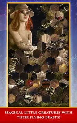 Play Hidden Scenes - Fairies and Dragons Play Hidden Scenes - Fairies and Dragons