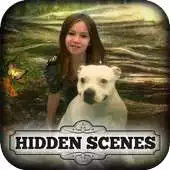 Free play online Hidden Scenes Magic Companions APK Free play online Hidden Scenes Magic Companions APK