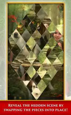 Play Hidden Scenes Magic Companions