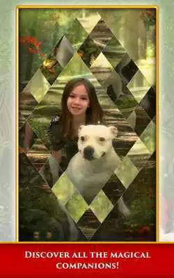 Play Hidden Scenes Magic Companions