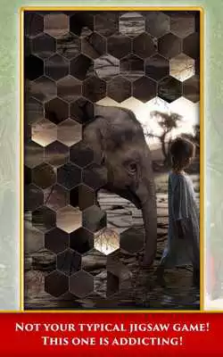 Play Hidden Scenes Magic Companions